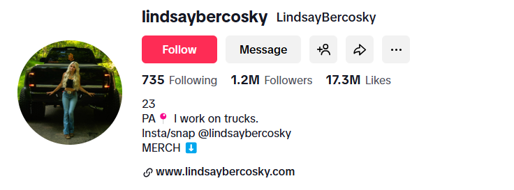 Lindsay's TikTok Account